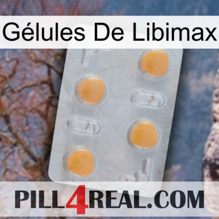 Gélules De Libimax 24